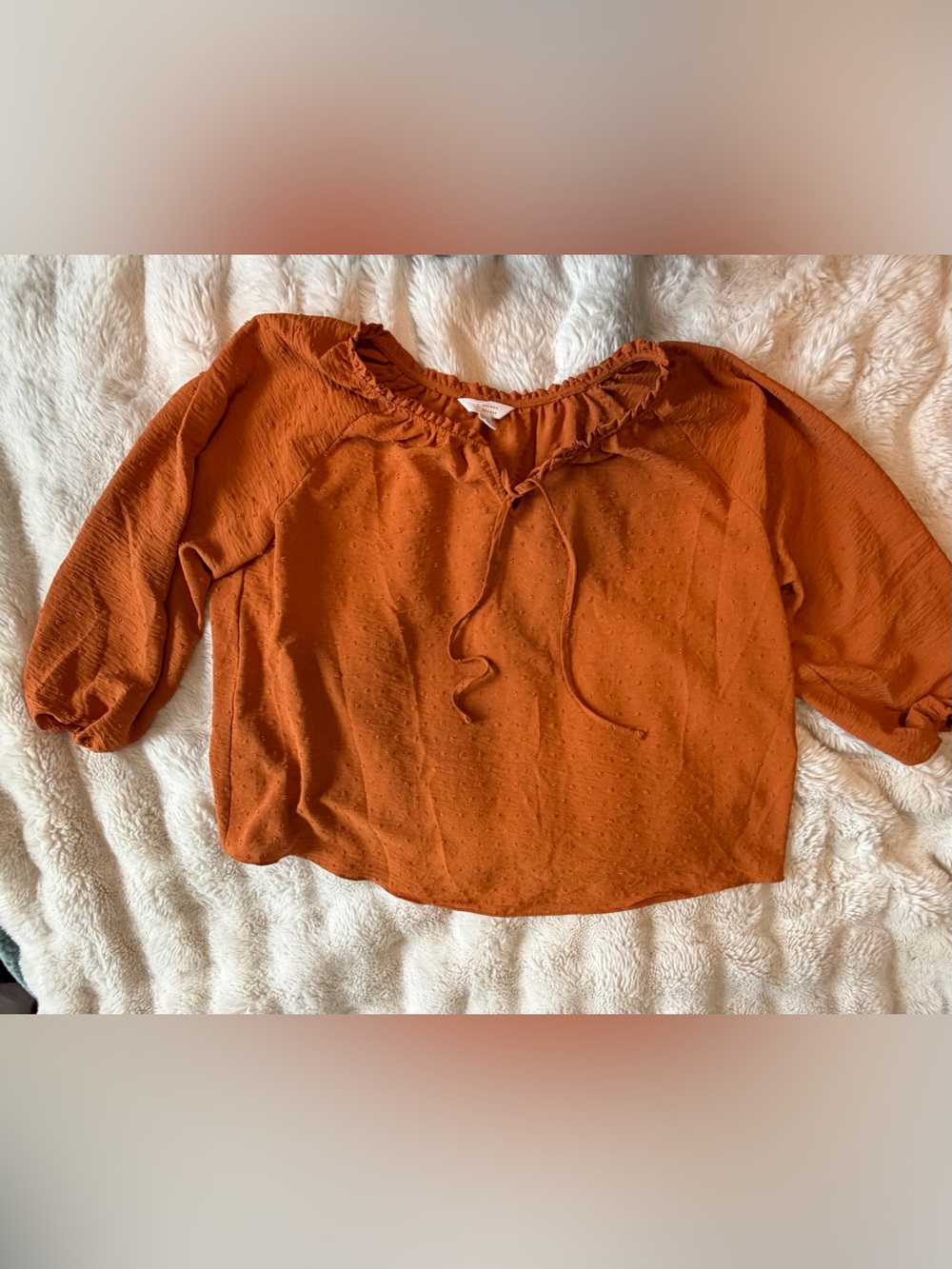 LC Lauren Conrad 1X Pumpkin Swiss Dot Peasant Blouse Puff Sleeve Fall